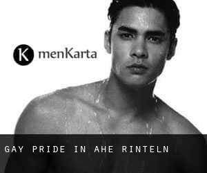 Gay Pride in Ahe (Rinteln)