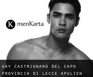 gay Castrignano del Capo (Provincia di Lecce, Apulien)