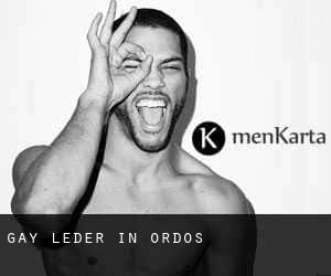 gay Leder in Ordos