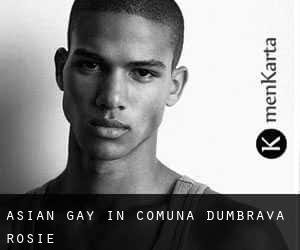 Asian gay in Comuna Dumbrava Roşie