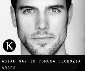 Asian gay in Comuna Slobozia (Argeş)