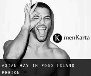 Asian gay in Fogo Island Region