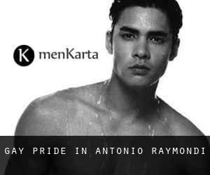 Gay Pride in Antonio Raymondi