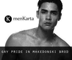 Gay Pride in Makedonski Brod
