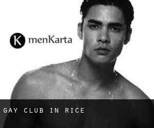 Gay Club in Rice