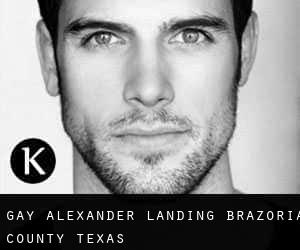 gay Alexander Landing (Brazoria County, Texas)