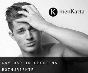 gay Bar in Obshtina Bozhurishte