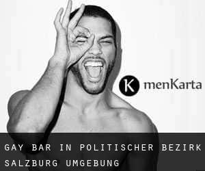 gay Bar in Politischer Bezirk Salzburg Umgebung
