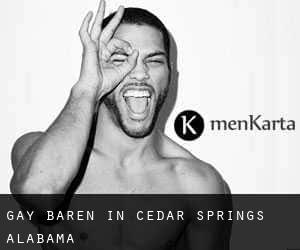 gay Baren in Cedar Springs (Alabama)