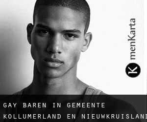 gay Baren in Gemeente Kollumerland en Nieuwkruisland
