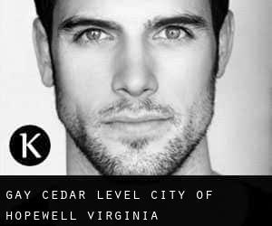 gay Cedar Level (City of Hopewell, Virginia)