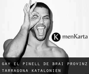 gay el Pinell de Brai (Provinz Tarragona, Katalonien)