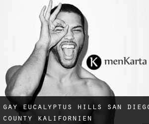 gay Eucalyptus Hills (San Diego County, Kalifornien)
