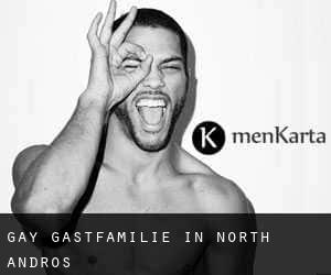gay Gastfamilie in North Andros