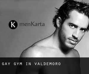 gay Gym in Valdemoro