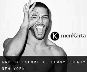 gay Hallsport (Allegany County, New York)