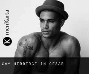 Gay Herberge in Cesar