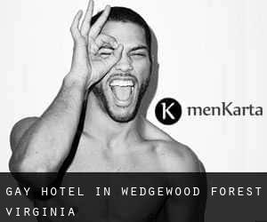 Gay Hotel in Wedgewood Forest (Virginia)