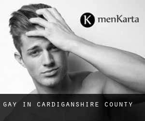 gay in Cardiganshire County