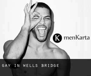 gay in Wells Bridge