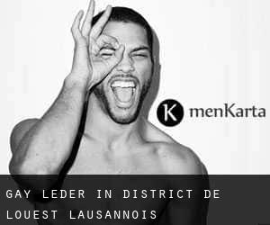 gay Leder in District de l'Ouest lausannois
