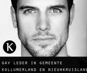gay Leder in Gemeente Kollumerland en Nieuwkruisland