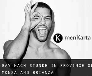 gay Nach-Stunde in Province of Monza and Brianza