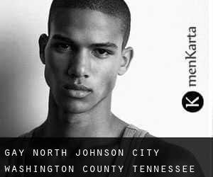gay North Johnson City (Washington County, Tennessee)
