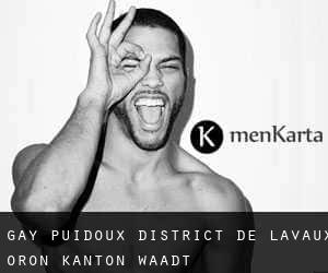 gay Puidoux (District de Lavaux-Oron, Kanton Waadt)