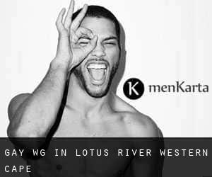 gay WG in Lotus River (Western Cape)