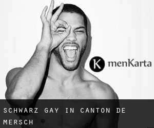 Schwarz gay in Canton de Mersch