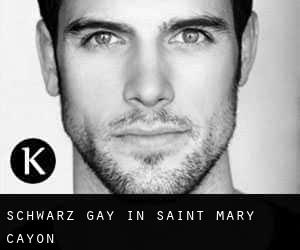 Schwarz gay in Saint Mary Cayon