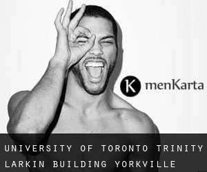 University of Toronto Trinity Larkin Building (Yorkville)